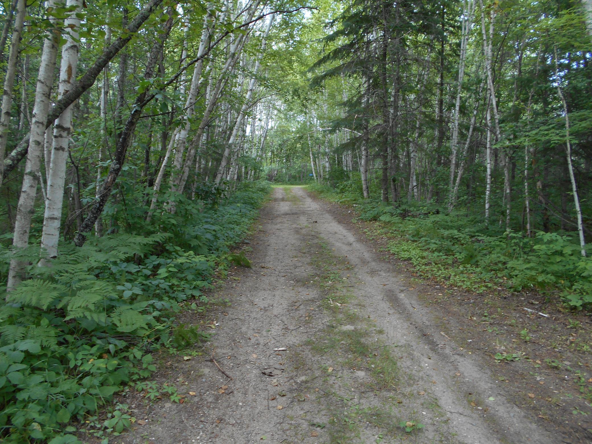 1.6+ Acres
