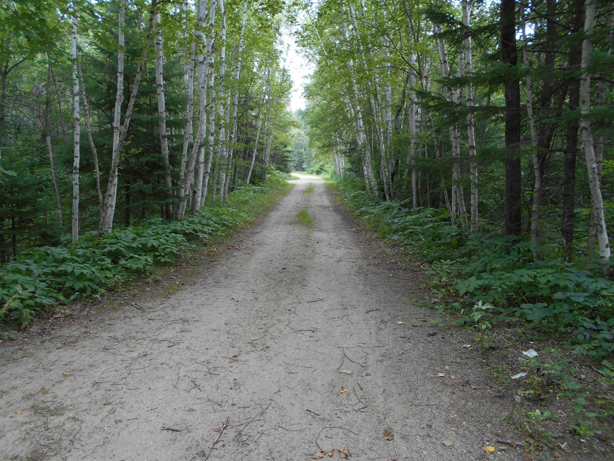 1.6+ Acres