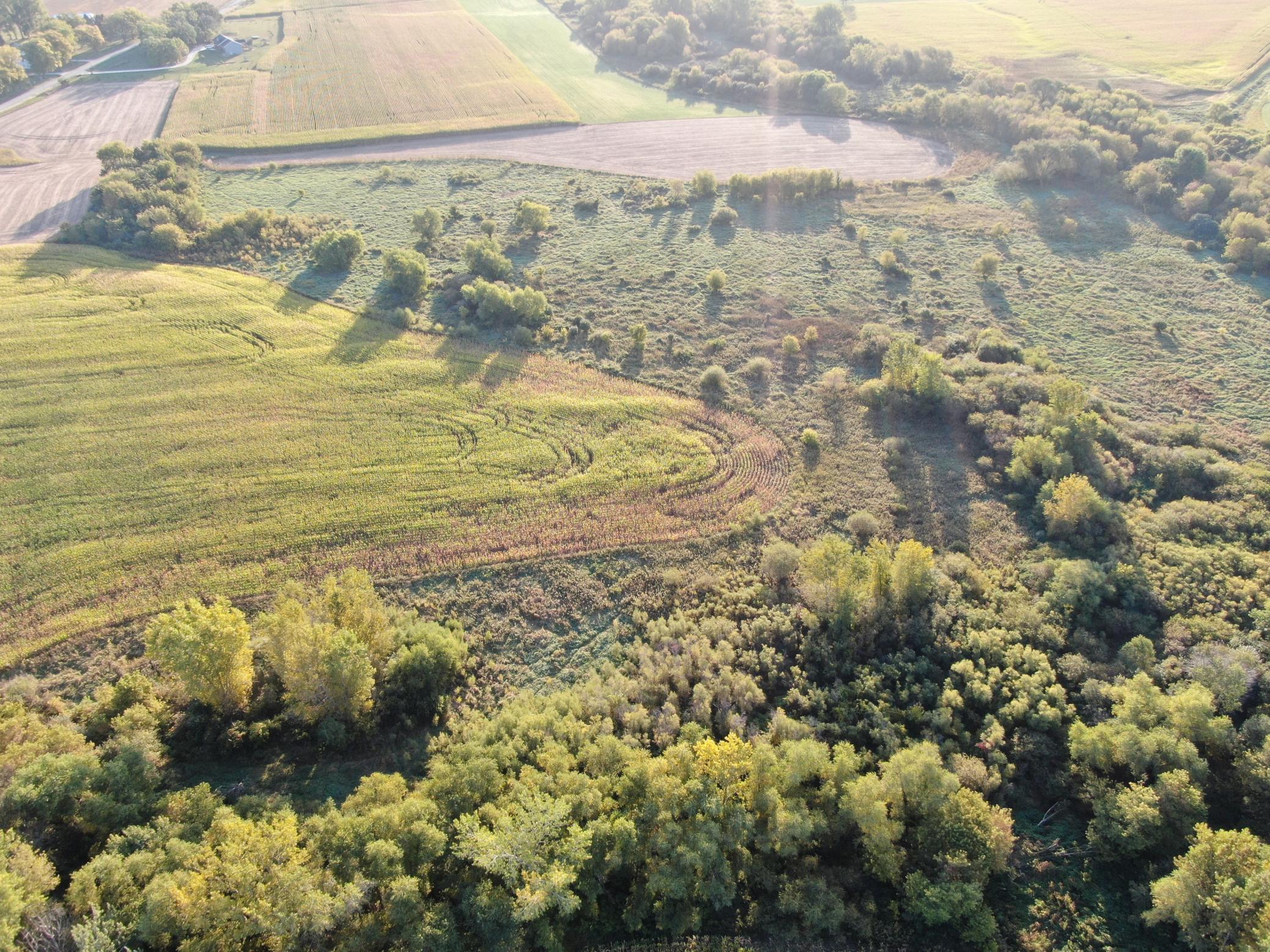DJI_0081.JPG