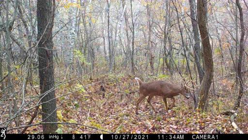 IMG_0015 - frame at 0m7s.jpg