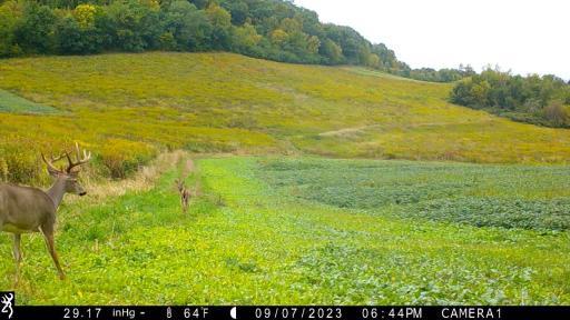 IMG_0018 (2) - frame at 0m0s.jpg