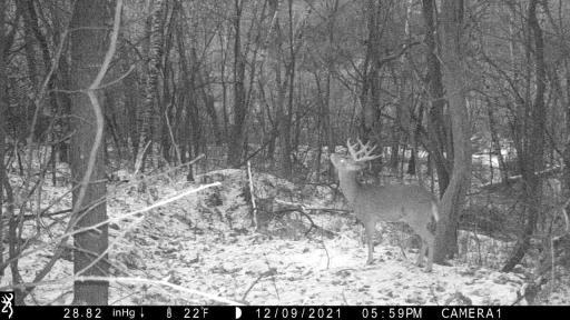 IMG_0025 - frame at 0m3s.jpg