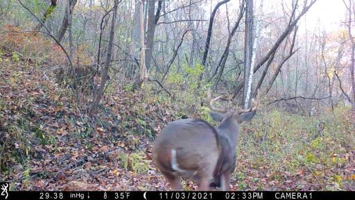 IMG_0031 - frame at 0m1s.jpg