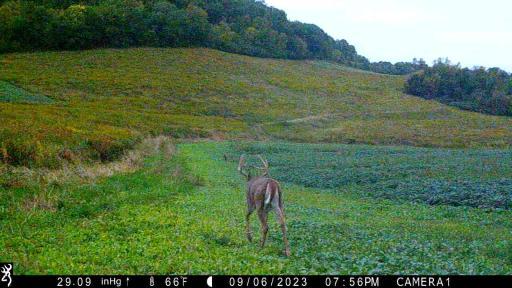 IMG_0011 - frame at 0m12s.jpg