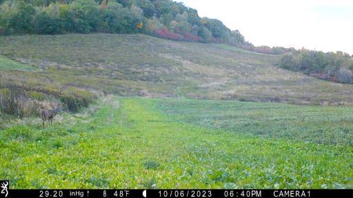 Big 8 - frame at 0m19s.jpg