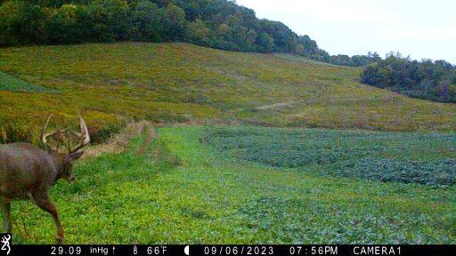 IMG_0011 - frame at 0m0s.jpg