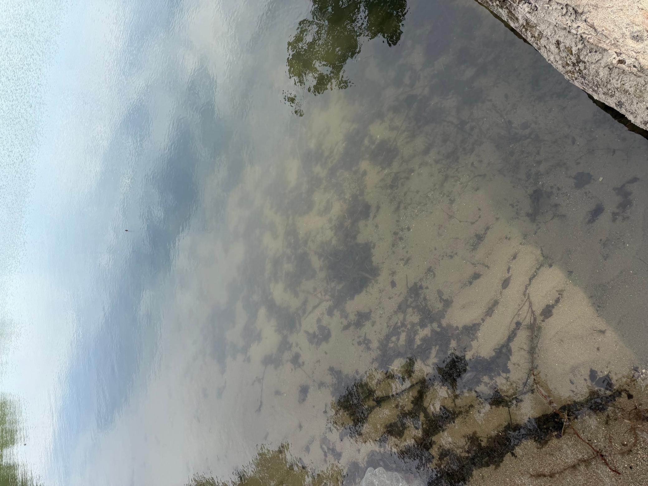 IMG_1013.jpeg