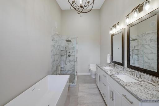 Master Bedroom soak in tub, walk in shower
