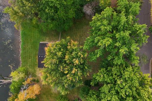 10-web-or-mls-489 Gentry Ave N - Aerial-010.jpg