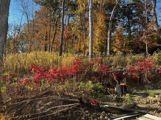 Lots of mature trees that you own and to enjoy views