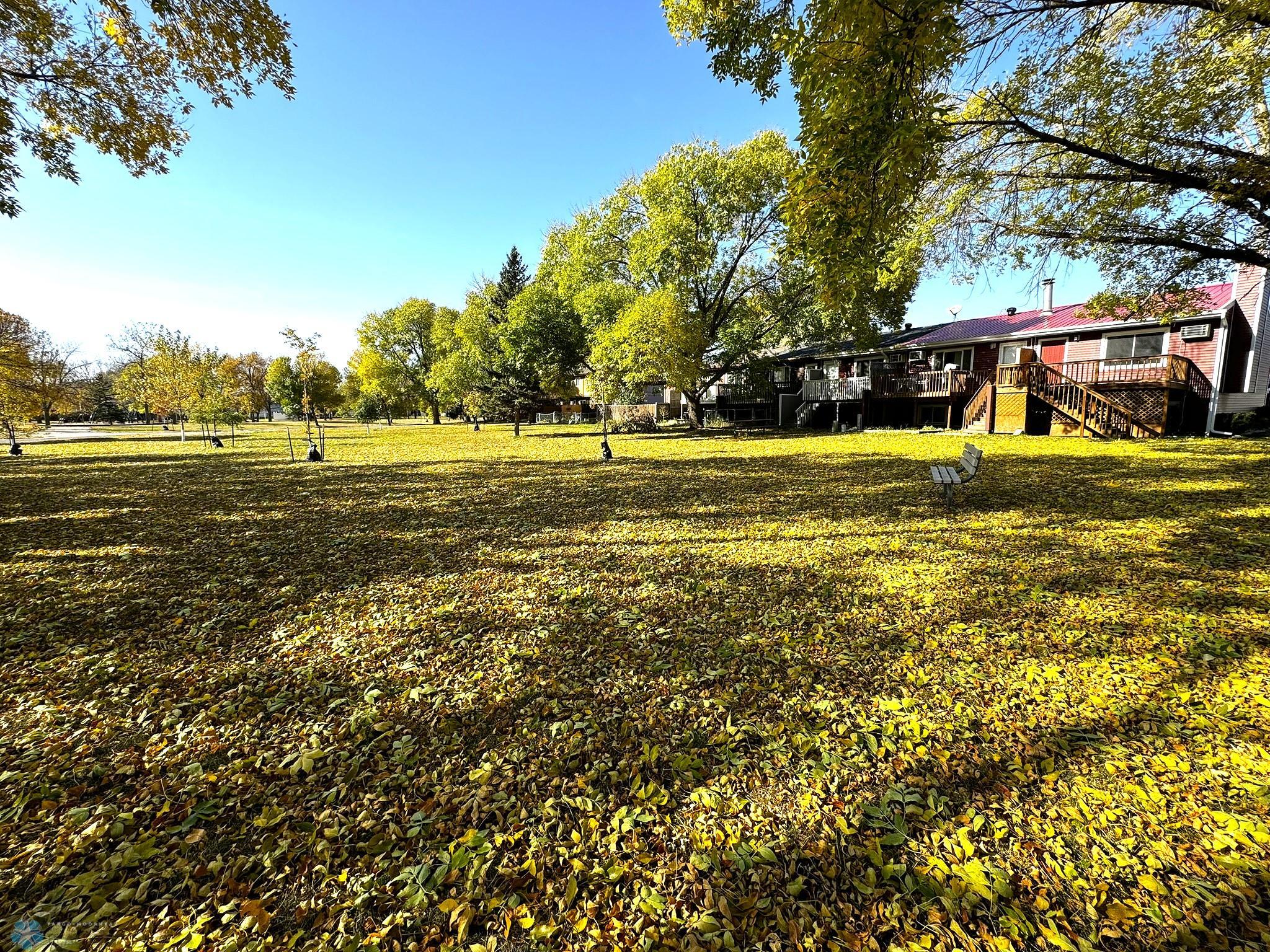 View from Park