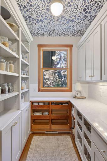 Walk-in Butler's Pantry with Marble Countertops