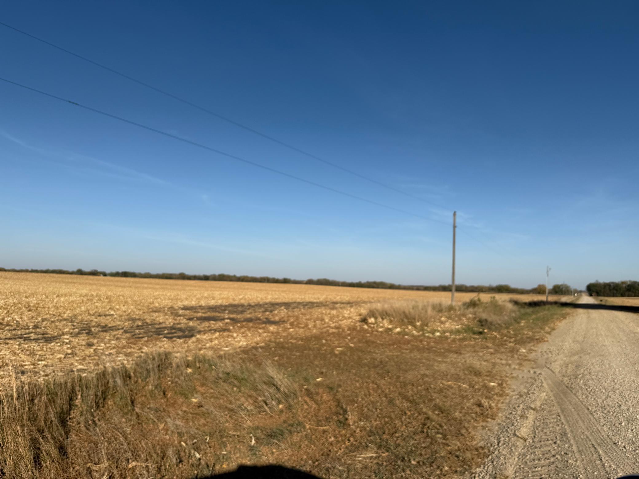 IMG_7703.jpeg
