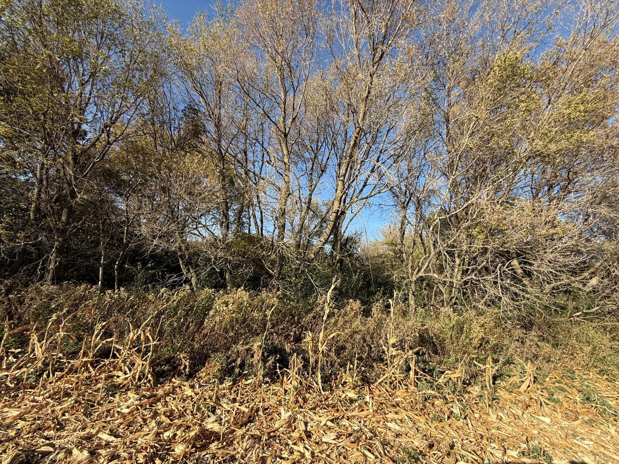 IMG_7696.jpeg