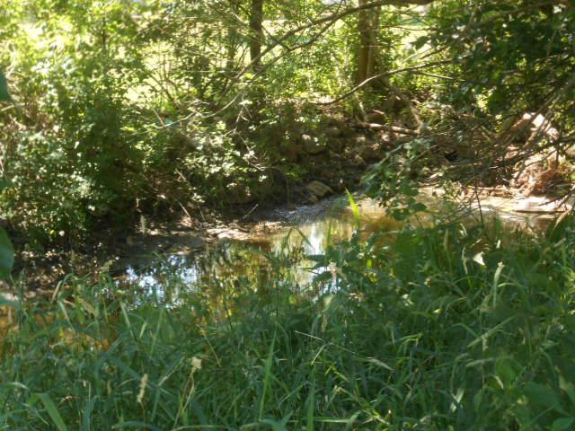 DSCN5989.JPG