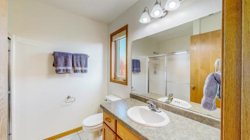 807 Rodeo Drive SE, Pine Island, MN 55963