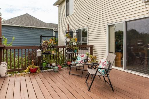 807 Rodeo Drive SE, Pine Island, MN 55963