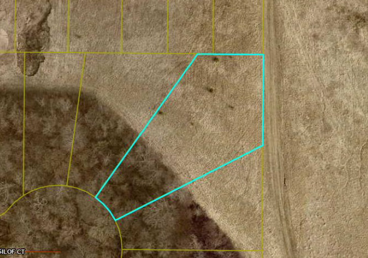 1403 Kasilof Court Aerial