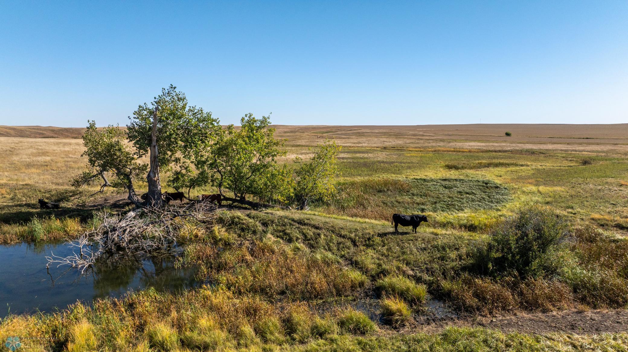 Amdak_Rohr Land-Grant,ND-57.jpg