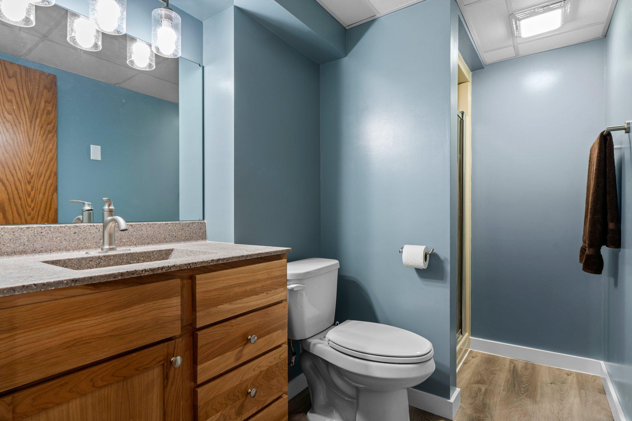 Lower Level Bathroom