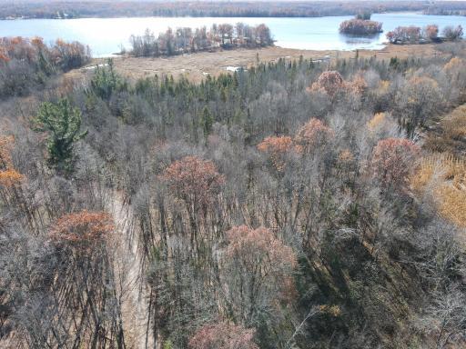 TBD Willy Road, Weyerhaeuser, WI 54895