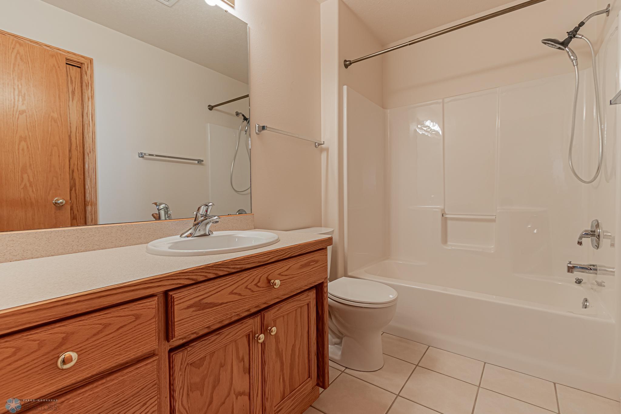 Lower Level Bath