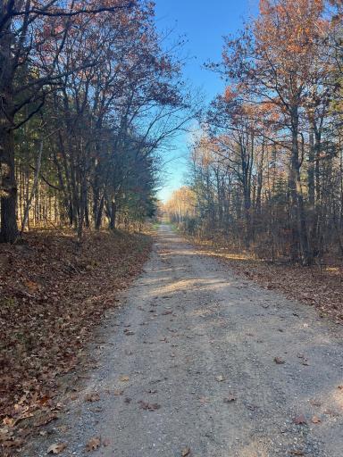 Photo for TBD 240th Place, Aitkin, MN 56431 - listing #6621880 TBD 240th Place, Aitkin, MN 56431