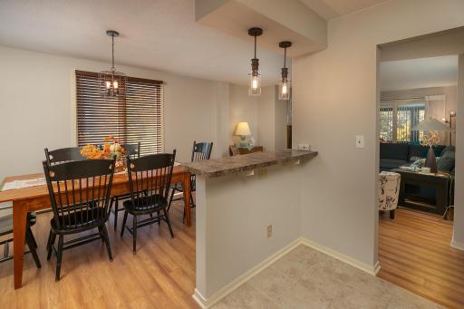 317 6th Avenue SW, 501, Rochester, MN 55902