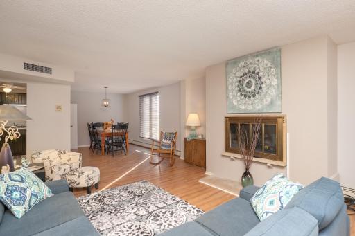 317 6th Avenue SW, 501, Rochester, MN 55902