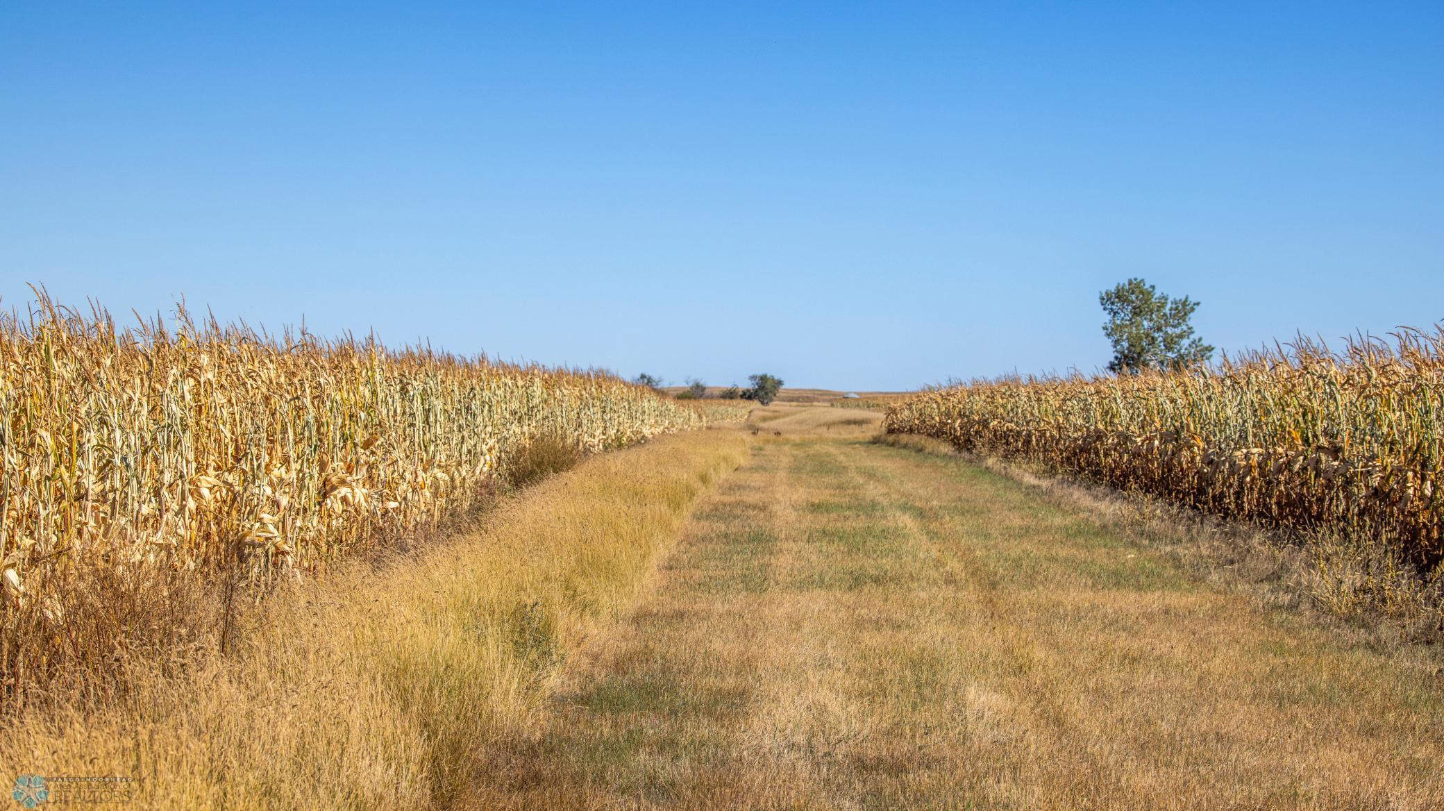 Amdak_Rohr Land-Grant,ND-25.jpg