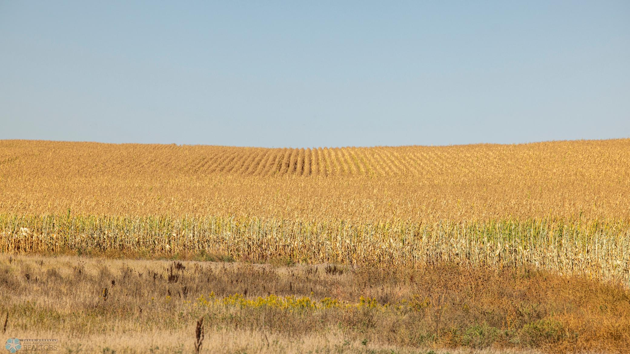 Amdak_Rohr Land-Grant,ND-24.jpg
