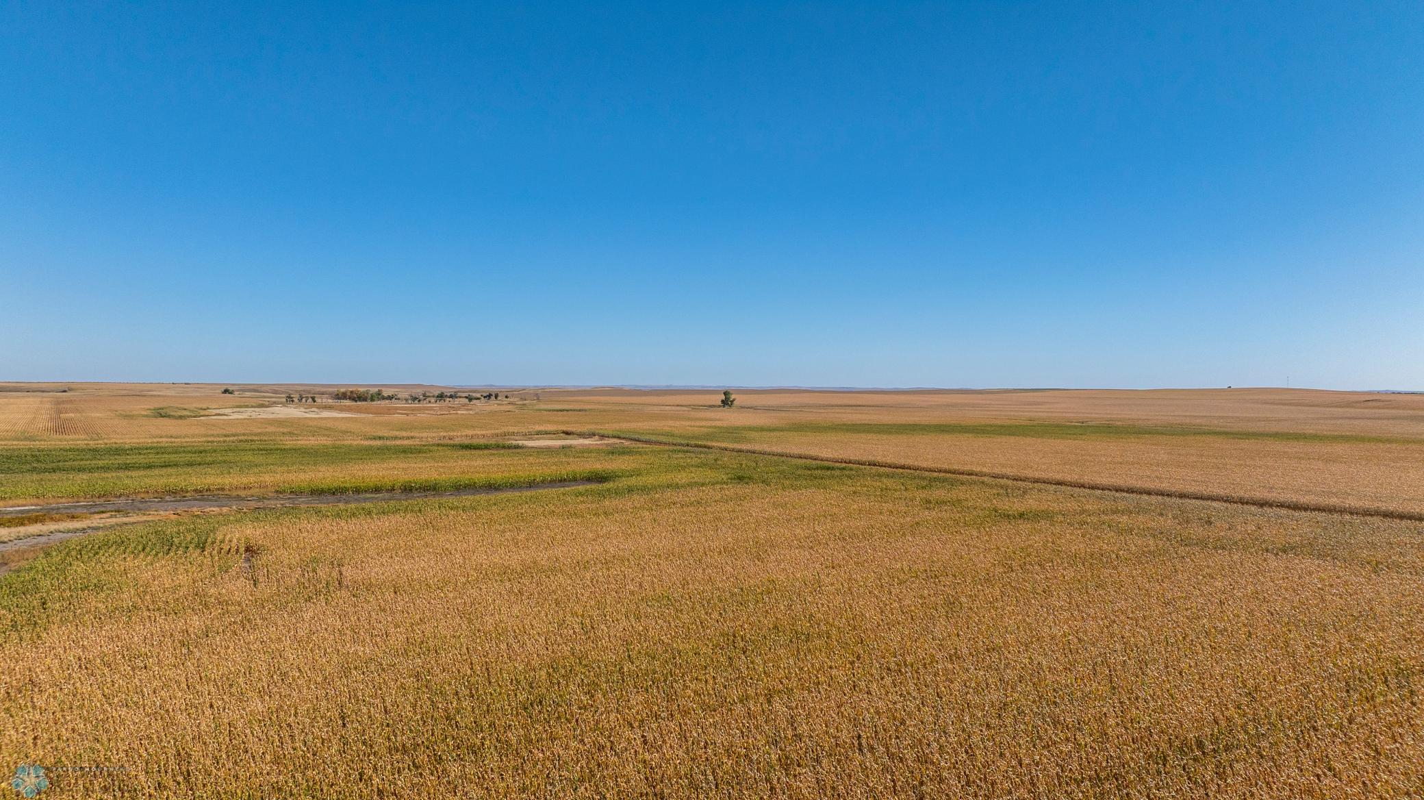 Amdak_Rohr Land-Grant,ND-22.jpg