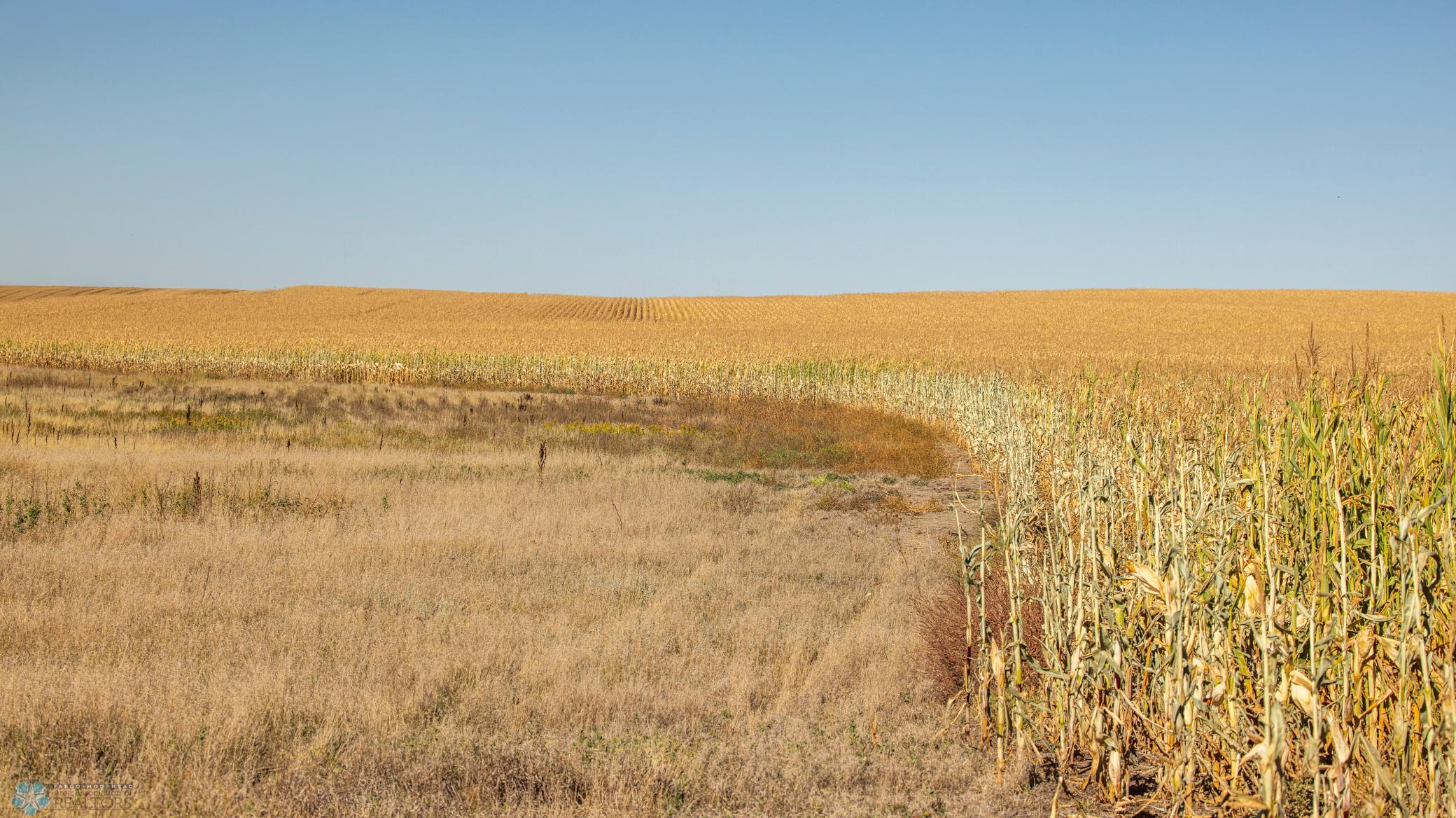 Amdak_Rohr Land-Grant,ND-23.jpg