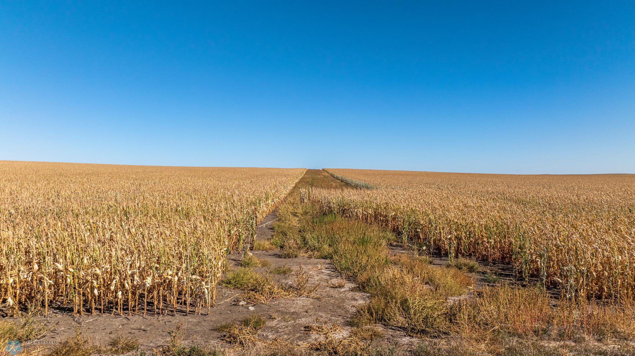 Amdak_Rohr Land-Grant,ND-19.jpg