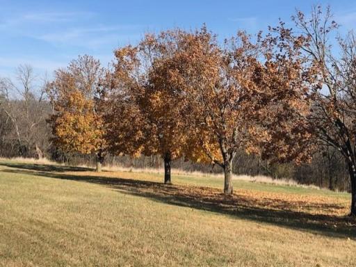 Photo for 22735 Hickory Road, Lanesboro, MN 55949 - Listing #6622625 22735 Hickory Road, Lanesboro, MN 55949
