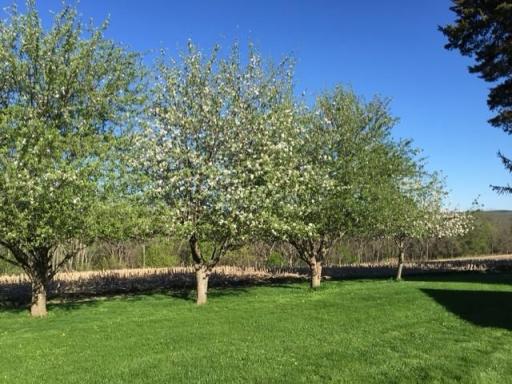 Photo for 22735 Hickory Road, Lanesboro, MN 55949 - Listing #6622625 22735 Hickory Road, Lanesboro, MN 55949