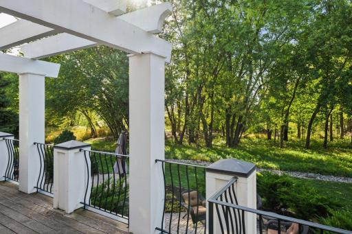 335 Lythrum Lane, Hamel, MN 55340