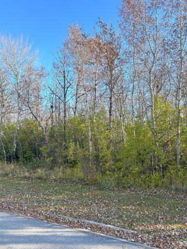 TBD Wabasha Avenue NE, Warroad, MN 56763