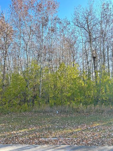 TBD Wabasha Avenue NE, Warroad, MN 56763
