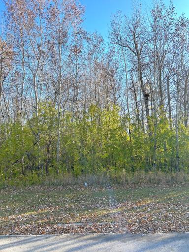TBD Wabasha Avenue NE, Warroad, MN 56763