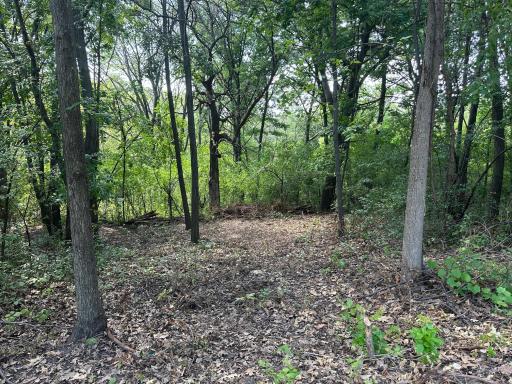 195X Glenhill Road, Saint Paul, MN 55118