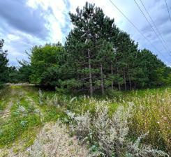 TBD County Highway 54, New York Mills, MN 56567