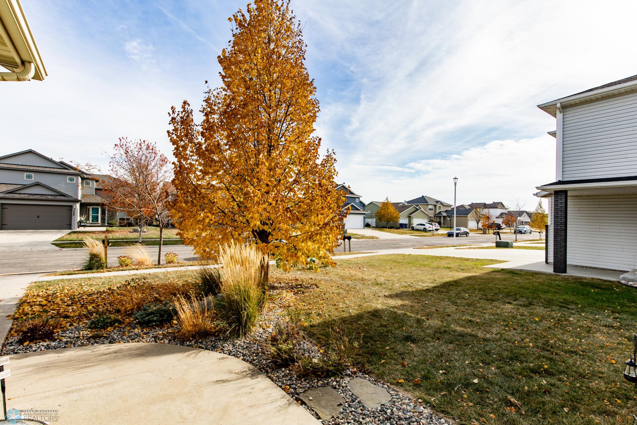 Front Yard