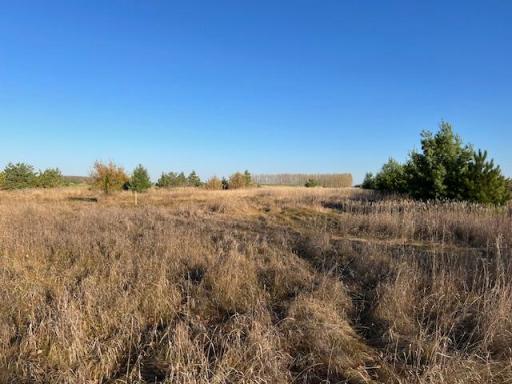 Photo for xxxx 460th Ave, Perham, MN 56573 - listing #6624085 xxxx 460th Ave, Perham, MN 56573