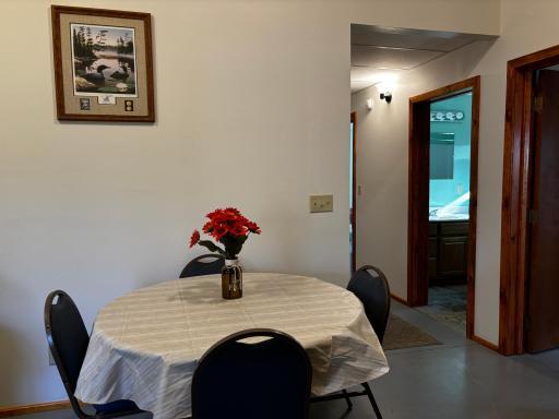 3191 Town Road 397, International Falls, MN 56649