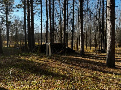 3191 Town Road 397, International Falls, MN 56649