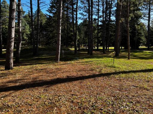 3191 Town Road 397, International Falls, MN 56649