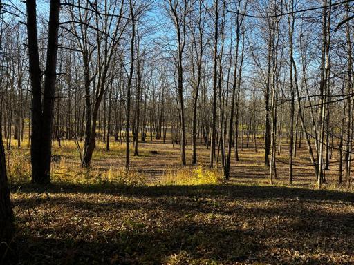 3191 Town Road 397, International Falls, MN 56649