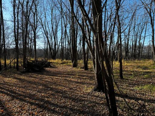 3191 Town Road 397, International Falls, MN 56649