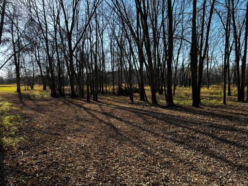 3191 Town Road 397, International Falls, MN 56649